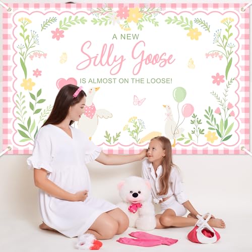 Silly Goose Baby Shower Banner - Pink Plaid Floral Backdrop (6x3.6ft)