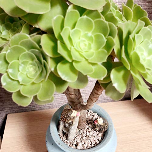 MUAMAX Hedgehog Figurines Set for Miniature Gardens - 3" & 0.5"