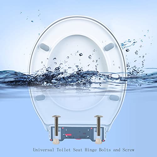 Setaria Viridis Toilet Seat Hinge Bolts Kit - Stainless Steel (2pcs)