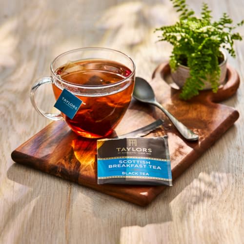 Taylors of Harrogate Scottish Breakfast Black Tea 20ct Pack of 6 - Full-Bodied, Bright Flavor