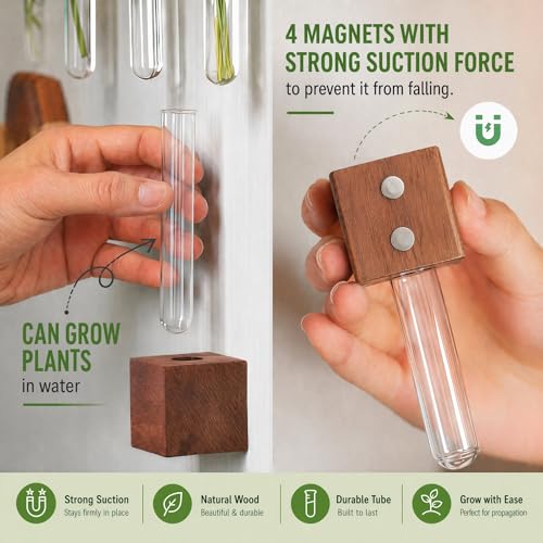 Walnut 4-Piece Magnetic Wooden Vases Set with Test Tubes & Greeting Card