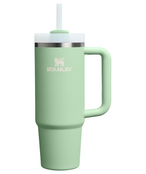 STANLEY Quencher H2.0 Tumbler with Handle and Straw 30 Fluid Ounces | Flowstate 3-Position Lid | Cup Holder Compatible for Travel | Insulated Stainless Steel Cup | BPA-Free | Pistachio