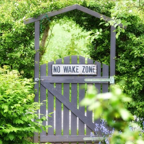 No Wake Zone Metal Sign - Retro Tin Wall Decor 15.8x4 Inches