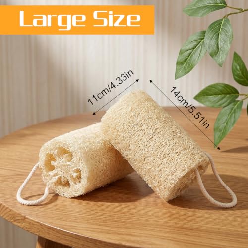 Natural Loofah Sponge 2-Pack Organic Exfoliating Body Scrubber for Shower