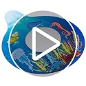 Silicone Bathtub Drain Stopper Cover - Safe & Easy to Use
