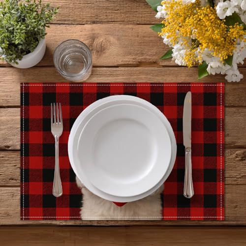 HOMETITUTE Valentine Placemats Set of 4 - Red Plaid Puppy Design
