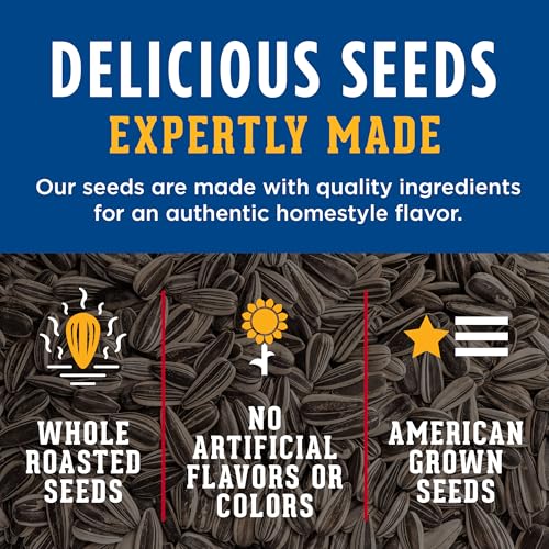 DAVID Original Jumbo Sunflower Seeds - 16 oz Roasted & Salted