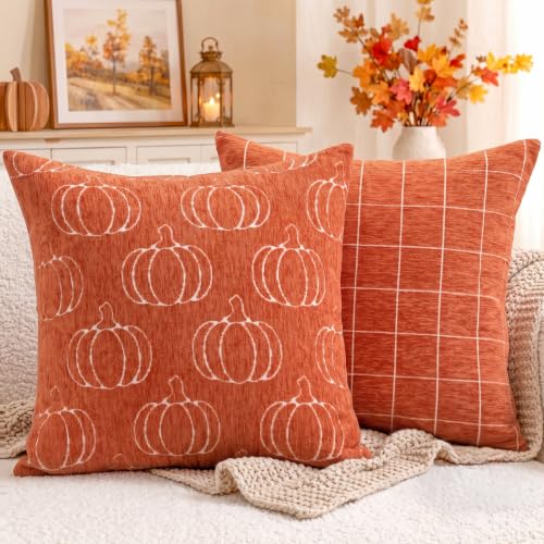 Auomily Fall Pumpkin Chenille Pillow Covers, 18x18, Set of 2, Orange