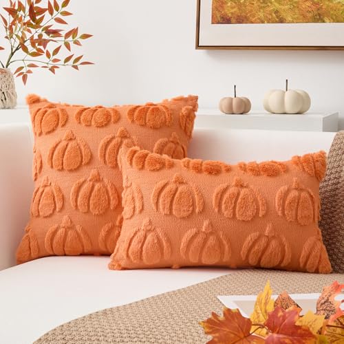 Kevin Textile Fall Pumpkin Pillow Covers, 18x18 Inch Set of 2, Orange