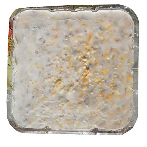 C&S Sunflower Wild Bird Suet Treat - Year-Round Feeding