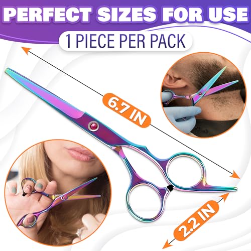 Hair Scissors 6.5 x 2.2 In, Cutting for Hairstylists | Durable,
