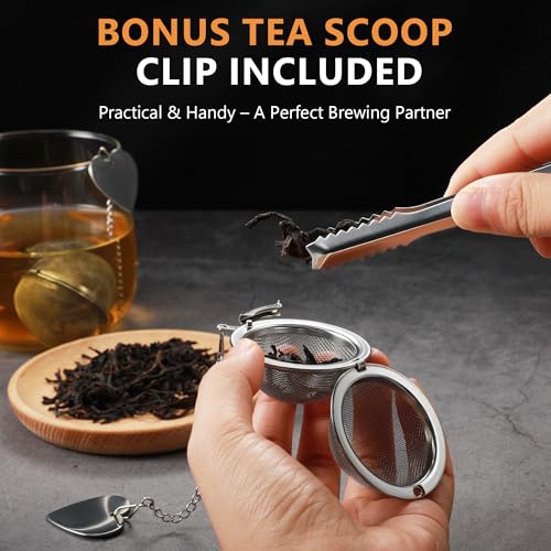 Stainless Steel Tea Infuser 2 Pack – Fine Mesh Loose Leaf Tea Strainers with Bonus Scoop