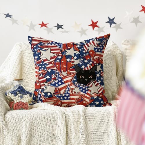 AVOIN Colorlife 4th of July Patriotic Stars Pillow Cover 18x18