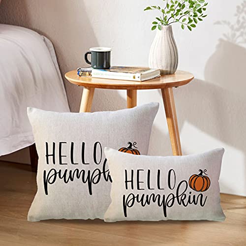 Hello Pumpkin Lumbar Throw Pillow Cover, 12x20 Inch Farmhouse Fall Decor