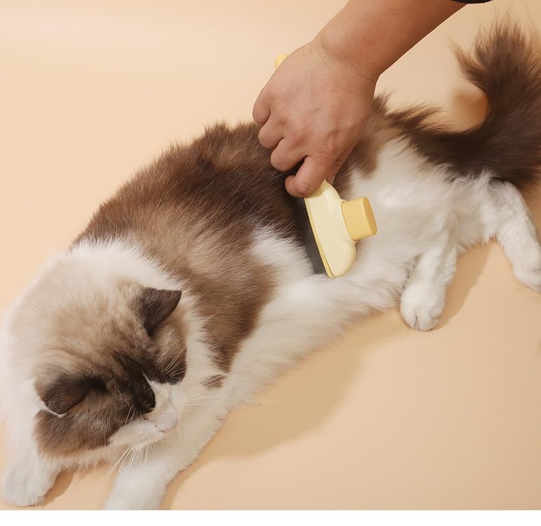Reusable Pet Hair Remover Gloves for Dogs & Cats - 3 PCS