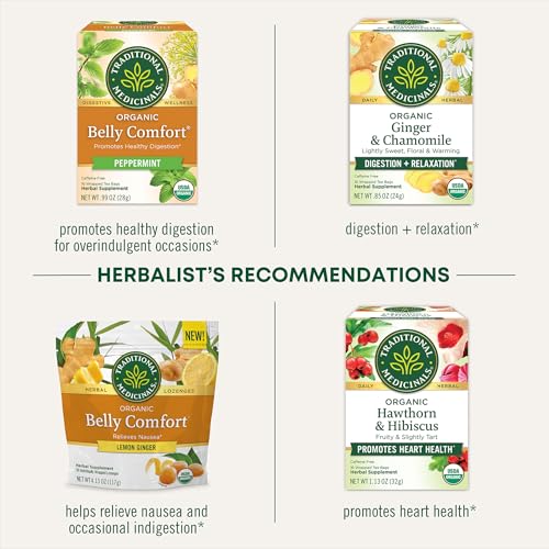 Organic Ginger Aid Tea - 16 Count - Digestive Support