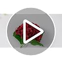 Artificial Hydrangea Flowers 3 Pack - Burgundy 17.7 Inch Christmas Decor