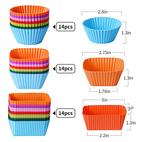 Doiaz Silicone Bento Box Set with Dividers & Food Picks - 52 Pack