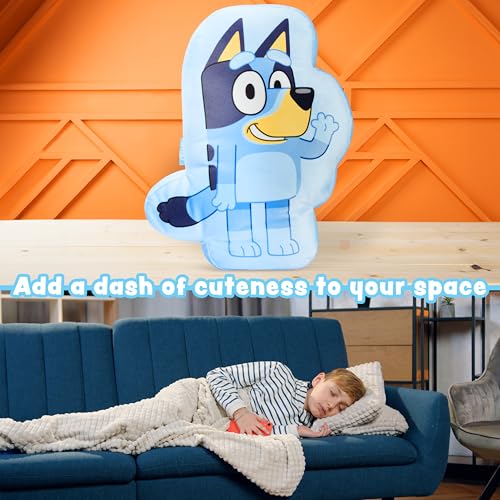 Bluey 3D Plush Pillow for Kids - Soft Cuddle Sham & Gift