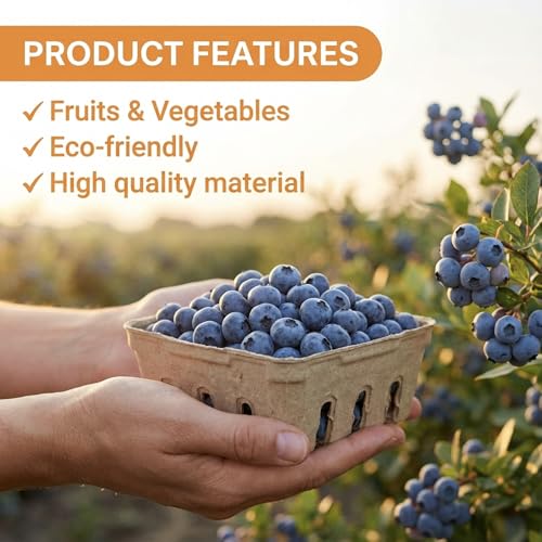 15 Pack Compostable Berry Baskets - Small Vented Produce Storage