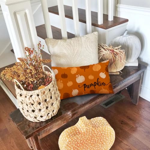 RABUSOFA Rust Orange Pumpkin Lumbar Pillow Cover, 12x20 Inch Fall Decor