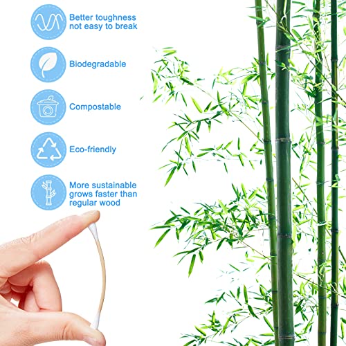 Eyxformula 300 Pcs Pet Cotton Swabs Set - Organic Bamboo Buds with Extra Long Sticks for Dogs and Cats