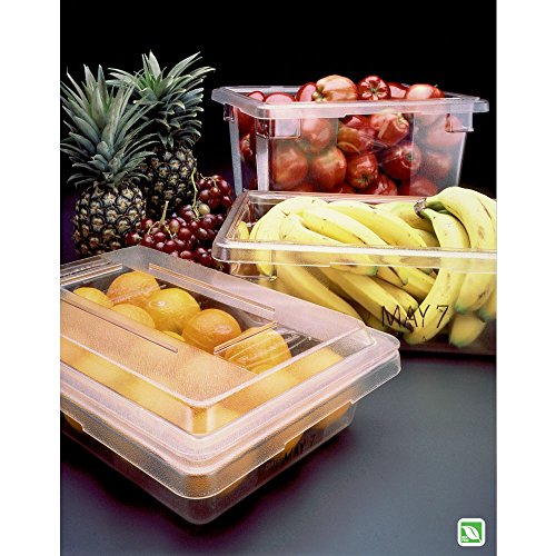 Rubbermaid 21.5 Gallon Clear Food Storage Box - BPA-Free Polycarbonate