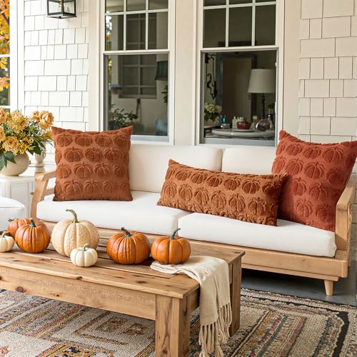 MIULEE Fall Pumpkin Pillow Covers 18x18, Dark Rust Faux Fur (Set of 2)