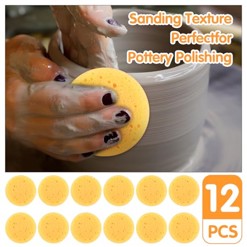 Natural Cellulose Kitchen Sponges - 12 Pack Eco-Friendly Dishwashing Sponges