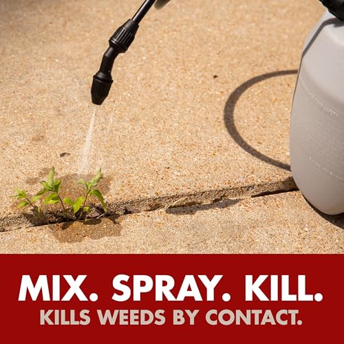Spectracide Weed & Grass Killer Concentrate - 40 Oz for Driveways