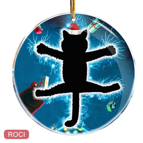 Christmas Ornament Set - Fried Cat Holiday Decorations for Tree & Home