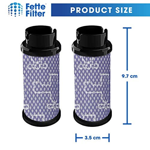 Fette Filter Pack of 2 Vacuum Cleaner Filters for Inse N5 S6 S6P S600