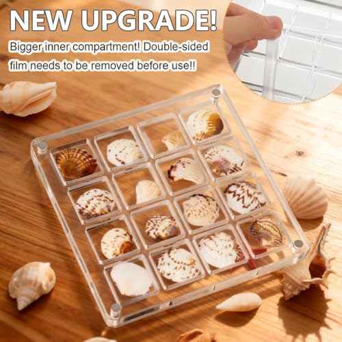 16-Grid Acrylic Display Box with Magnetic Lid - Seashell Organizer