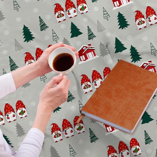 JOOCAR Christmas Throw Blanket 40x50 Inch - Soft Flannel Gnome & Snowflakes