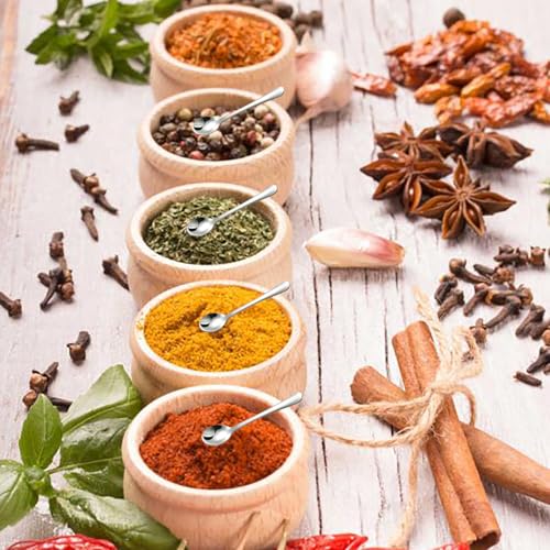 Asanta 2.87-Inch Tiny Stainless Steel Spice Spoons - 4 Piece Set