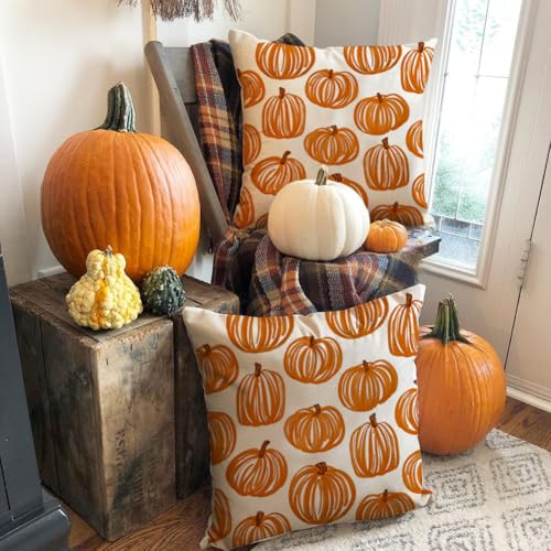 Outdoor Pillow Covers Set of 2 - 18x18 Orange Pumpkin Decor