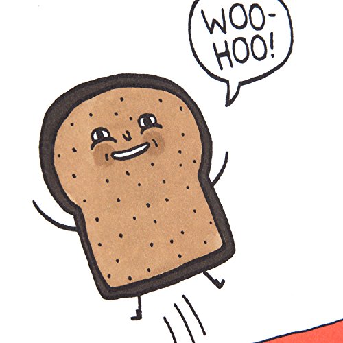 Hallmark Shoebox Funny Birthday Card - Just a Little Toast Design