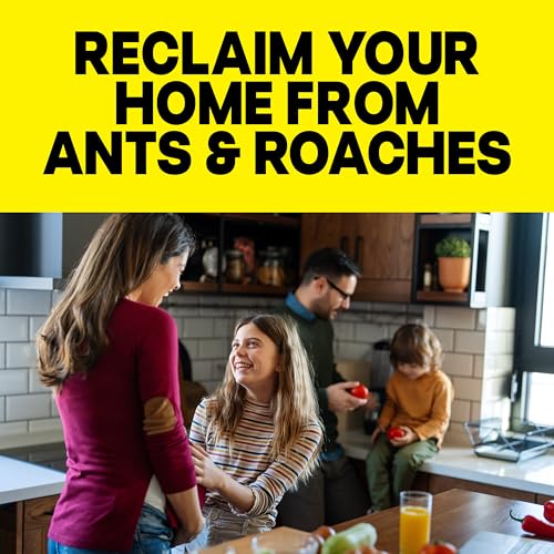 Raid Ant & Roach Killer Spray, Outdoor Fresh Scent, 17.5 oz - Kills for 13 Weeks