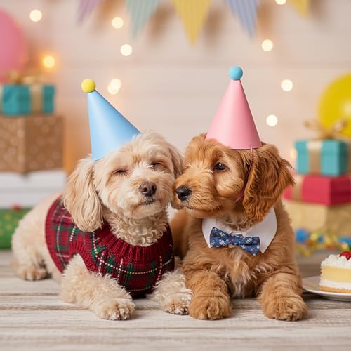 6 Mini Party Hats for Small Pets - Vibrant Birthday Cone Hats