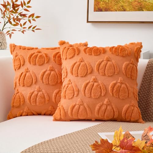 Kevin Textile Fall Pumpkin Pillow Covers, 18x18 Inch Set of 2, Orange