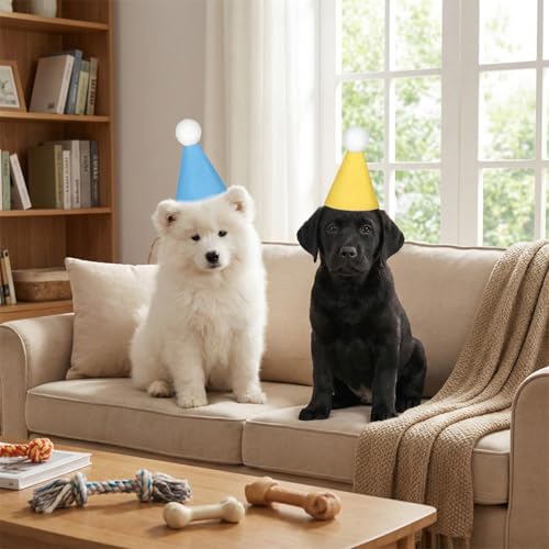 8 Pack Mini Party Hats for Small Pets - Felt Birthday Cone Hats