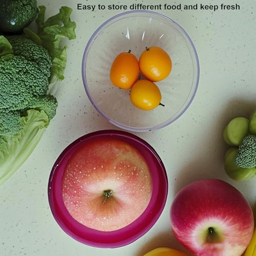 Dokpod Reusable Onion & Tomato Fridge Storage Container with Airtight Lid
