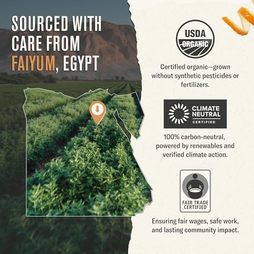 Numi Organic Moroccan Mint Herbal Tea, 18 Caffeine-Free Tea Bags