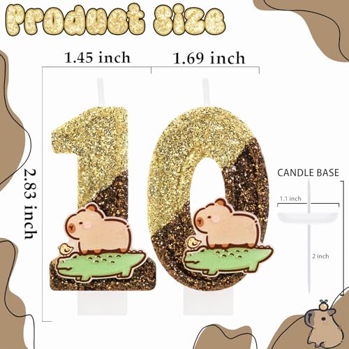 Capybara Birthday Candle Number 10 - Cute Cake Decoration