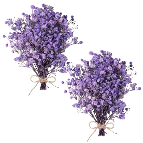 Dried Baby's Breath Bouquet - Pure Purple Gypsophila Flowers