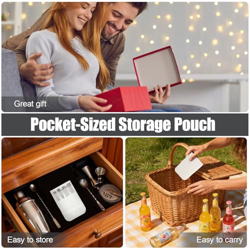 12-Piece Stainless Steel Cocktail Picks Set with Storage Case