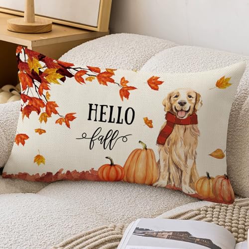 Hello Fall Golden Retriever Lumbar Throw Pillow Cover, 12x20 Inch Autumn Decor