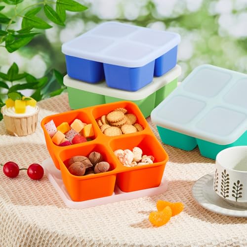 Roshtia Silicone Food Containers - 4 Pack Reusable Bento Lunch Boxes