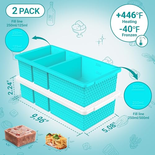 Doasuwish Silicone Freezer Trays with Lids - 2-Pack Blue Meal Prep Molds