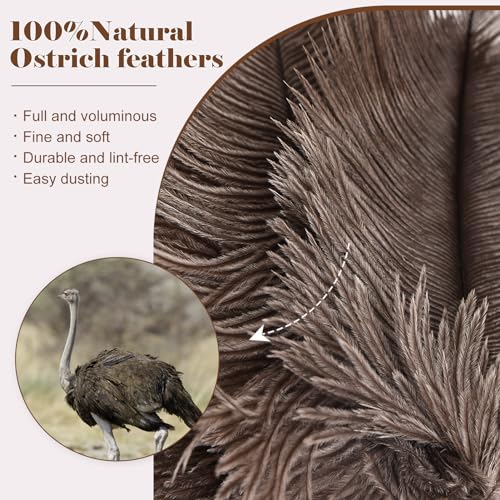 14.9 Inch Natural Ostrich Feather Duster - Lightweight Handheld for Cleaning